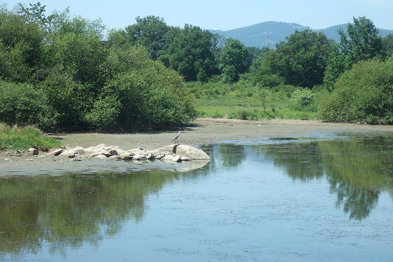 2011-05- (335).JPG